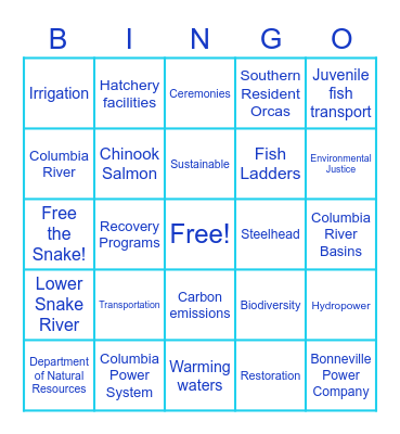 Four Lower Snake River Dams Bingo Card
