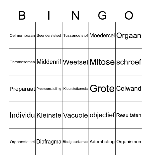 Thema 1 Bingo klas 3 Bingo Card