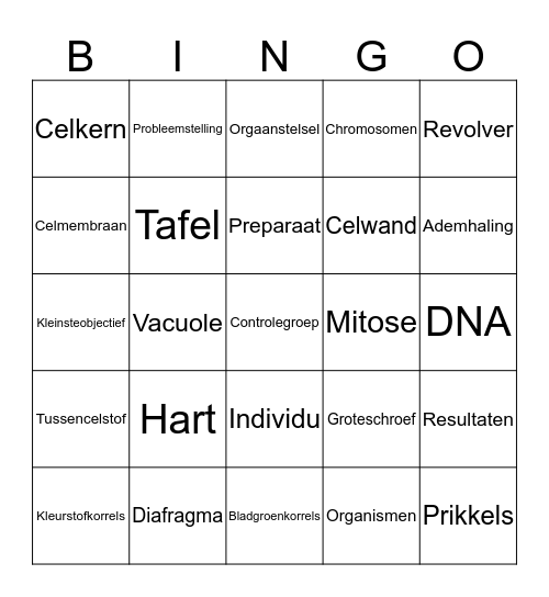 Thema 1 Bingo klas 3 Bingo Card