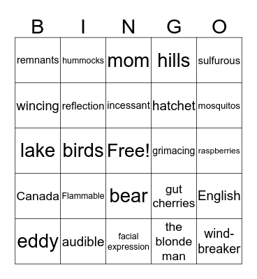 Hatchet Chapter 1-8 Bingo Card