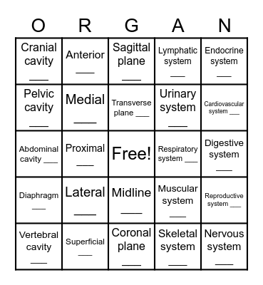 Anatomy Lab BINGO Card