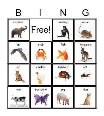 Animals Bingo Card