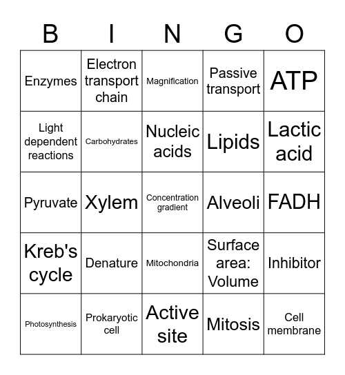 11 BIOLOGY Bingo Card