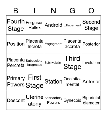 Chapter 16 and 33 Bingo Card