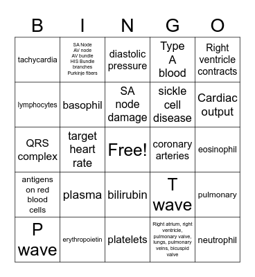 Cardiovascular system Bingo Card