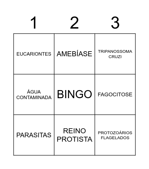 BINGO - PROTOZOÁRIOS 2º ANO "A" Bingo Card