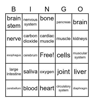 The Human Body Bingo Card