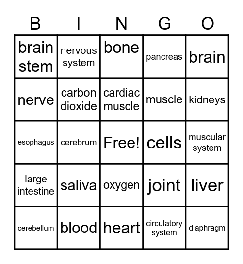 The Human Body Bingo Card