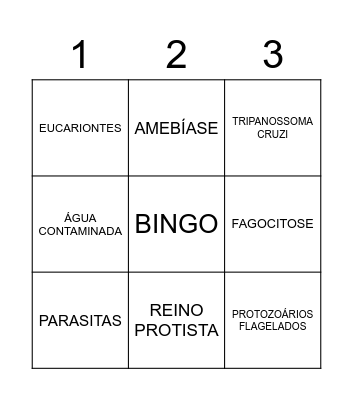 BINGO - PROTOZOÁRIOS Bingo Card