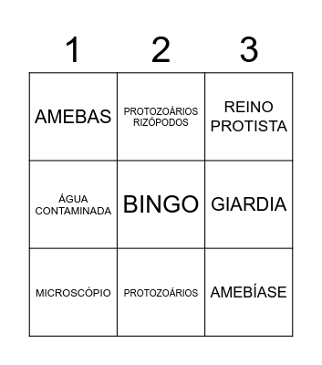 BINGO - PROTOZOÁRIOS 2º ANO "a" Bingo Card