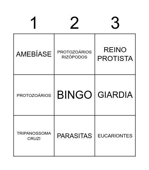 BINGO - PROTOZOÁRIOS 2º ANO "A" Bingo Card