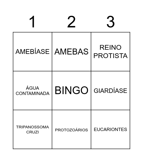 BINGO - PROTOZOÁRIOS 2º ANO "A" Bingo Card