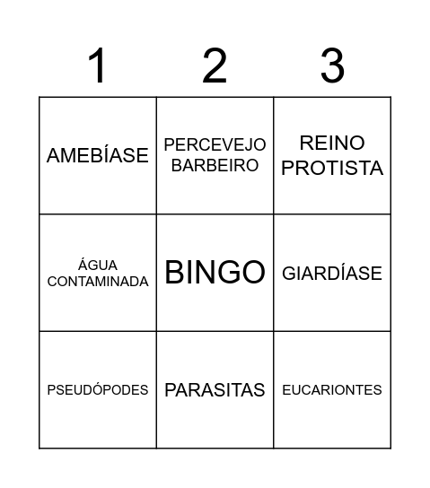 BINGO - PROTOZOÁRIOS 2º ANO "A" Bingo Card