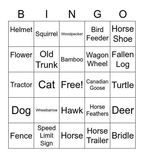 Carousel Park Bingo Card