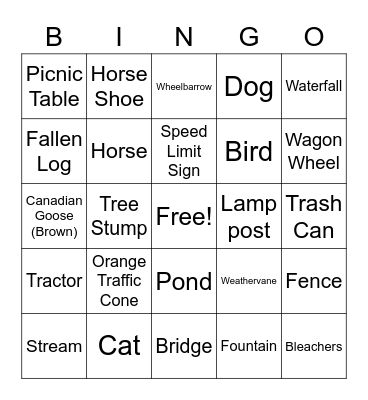 Carousel Park Bingo Card