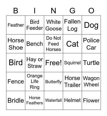 Carousel Park Bingo Card