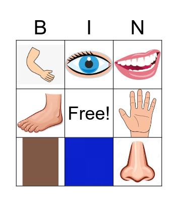Body parts and colours Bingo Card