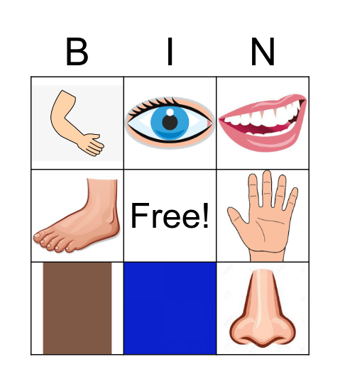 Body parts and colours Bingo Card