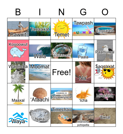 Summer Bingo Card