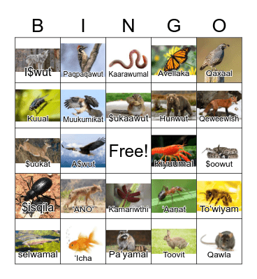 Animal Bingo Card
