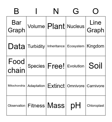 Summer Learning Bingo Card