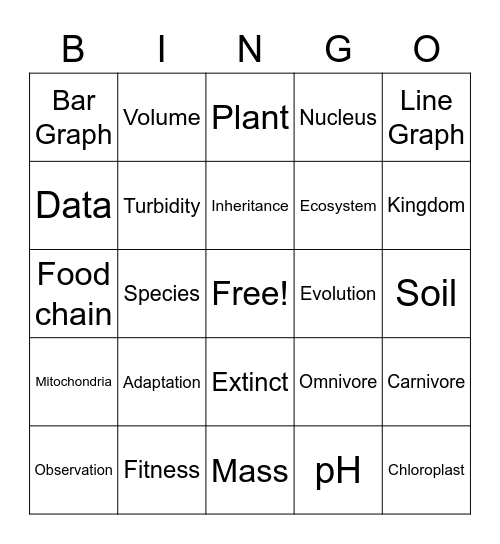 Summer Learning Bingo Card