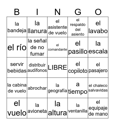 El Vocabulario del Capítulo 7 - El Vuelo Bingo Card