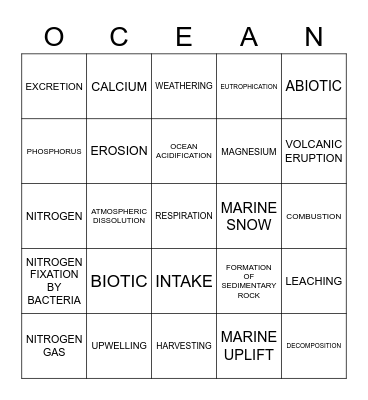 Marine Project Bingo Card
