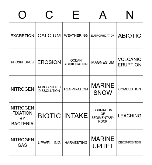 Marine Project Bingo Card