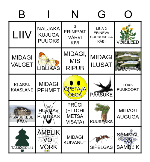 Looduse Bingo Card