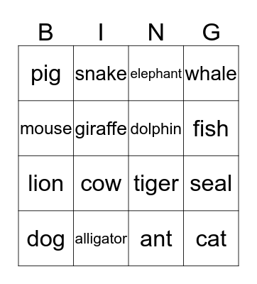 test Bingo Card