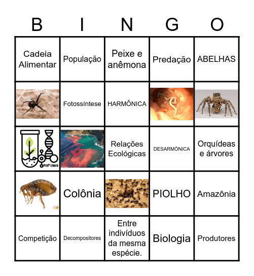 Relações Ecológicas Bingo Card