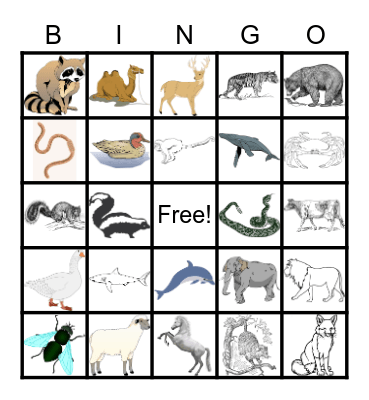 Animal Bingo Card