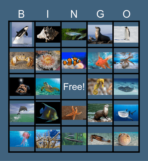 Under the Sea Bingo Card