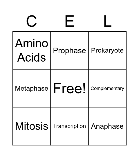 Cell Cycle Bingo Card