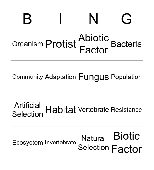 The Organization of Life Bingo Card