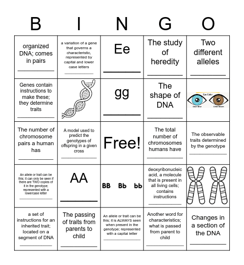 Heredity and Genetics Bingo Card