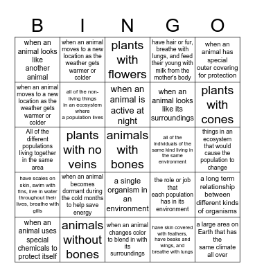 Animal Classification, Ecosystem, and Adaption Review Bingo Card