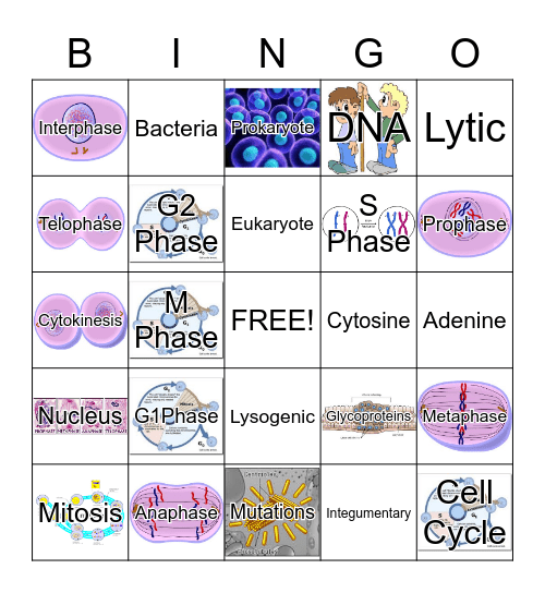 Cell Cycle Bingo Card