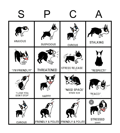 Dog Body Language Bingo Card