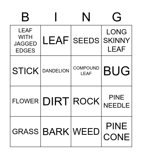NATURE Bingo Card