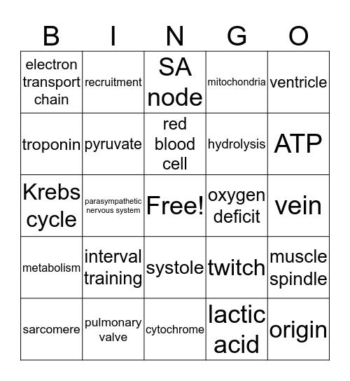 Bioenergetics and Systems Bingo Card