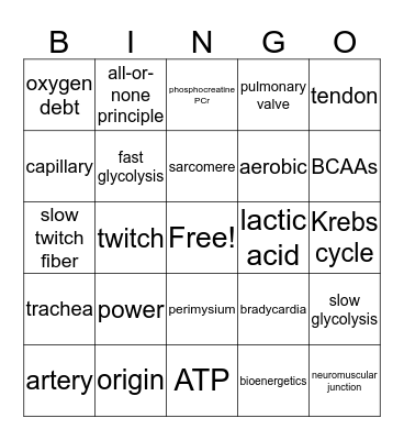 Bioenergetics and Systems Bingo Card