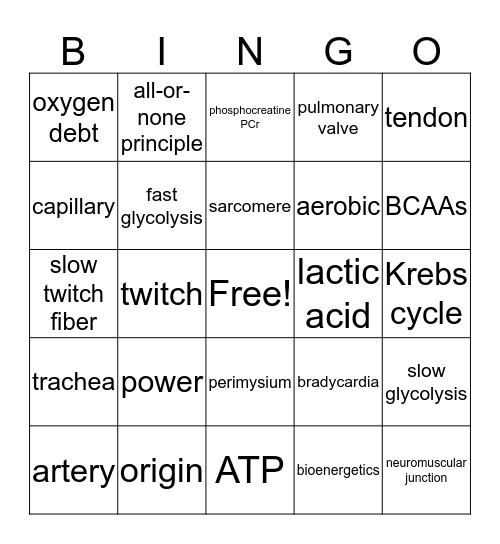 Bioenergetics and Systems Bingo Card