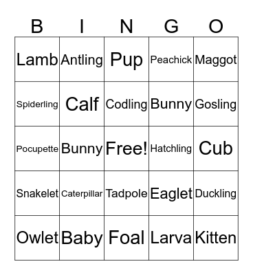 Baby Animal Bingo Card