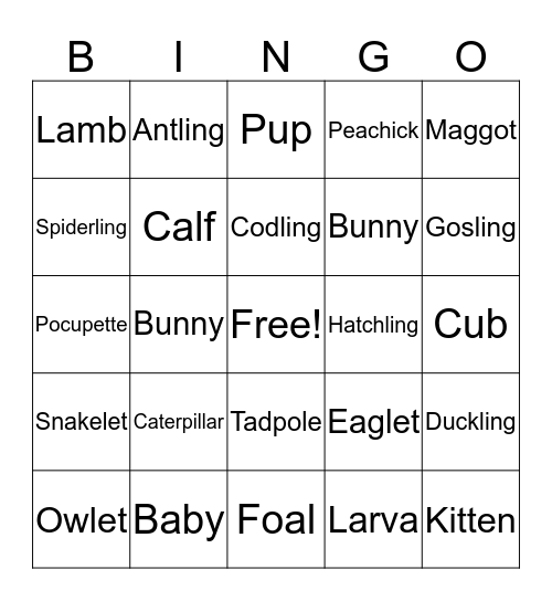 Baby Animal Bingo Card