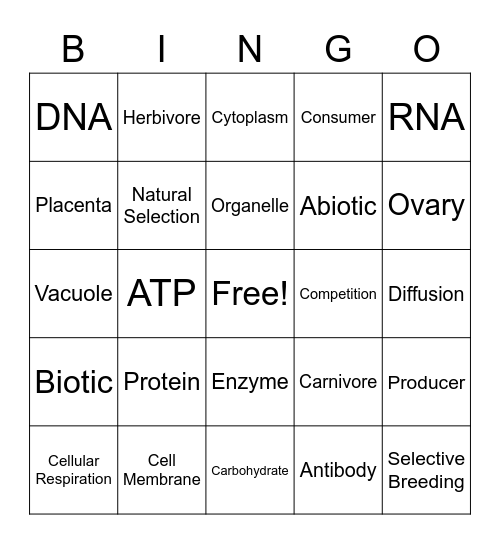 Bio Bingo Card