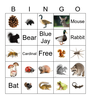 Summer 2022 Bingo Card