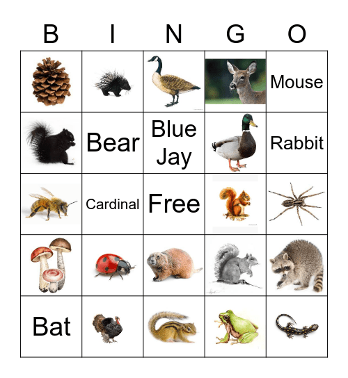 Summer 2022 Bingo Card