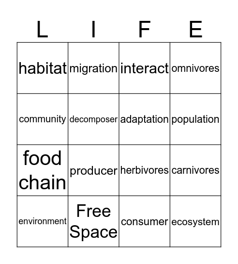 Animal BINGO Card